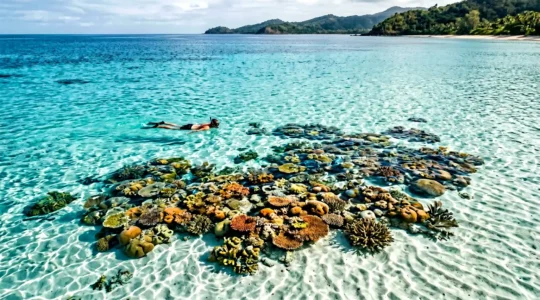 Plongeur observant des coraux dans un lagon turquoise cristallin