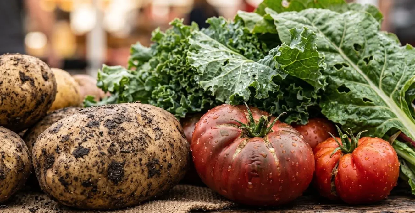 Vue rapprochée d'un étal de producteur local avec légumes terreux et calibres variés